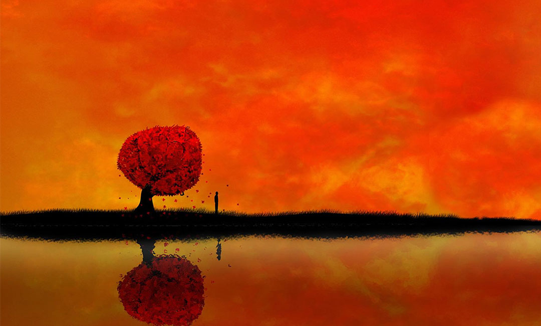 济源笙影微信朋友圈转发案例